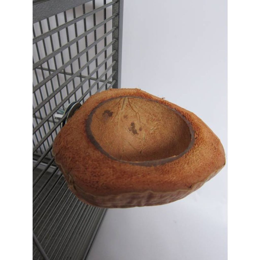 CocoNut Bowl - eine natürliche Schale für alle Papageien