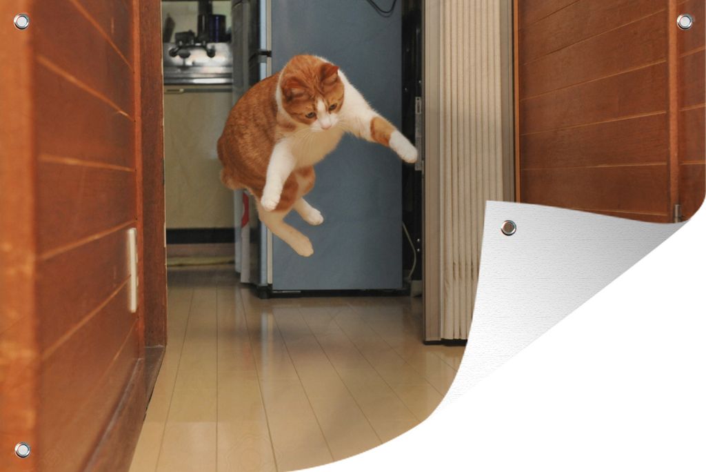 MuchoWow 60x40 cm Outdoor-Poster Gartendeko Sichtschutz Garten Poster für den Garten Katze - Springen - Spielzeug