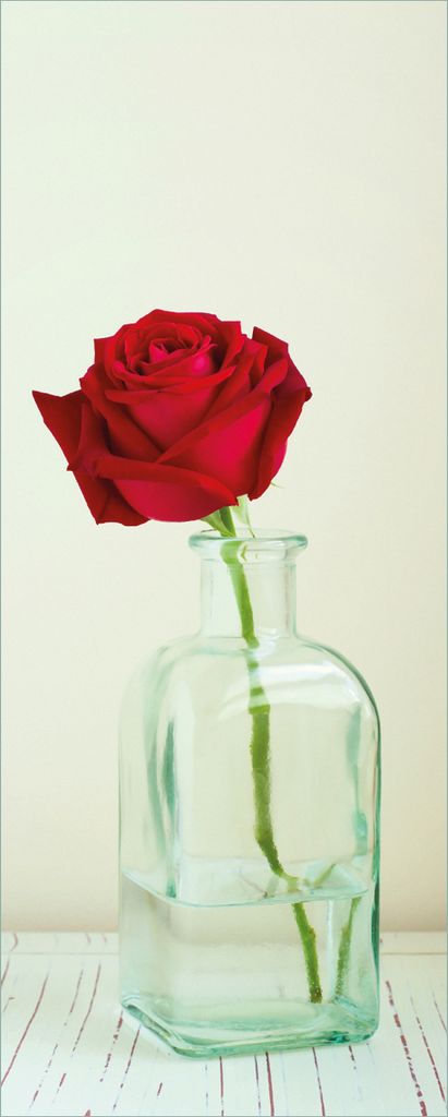 Wallario selbstklebendes Poster - Rote Rose in Glasvase, Größe: 80 x 200 cm