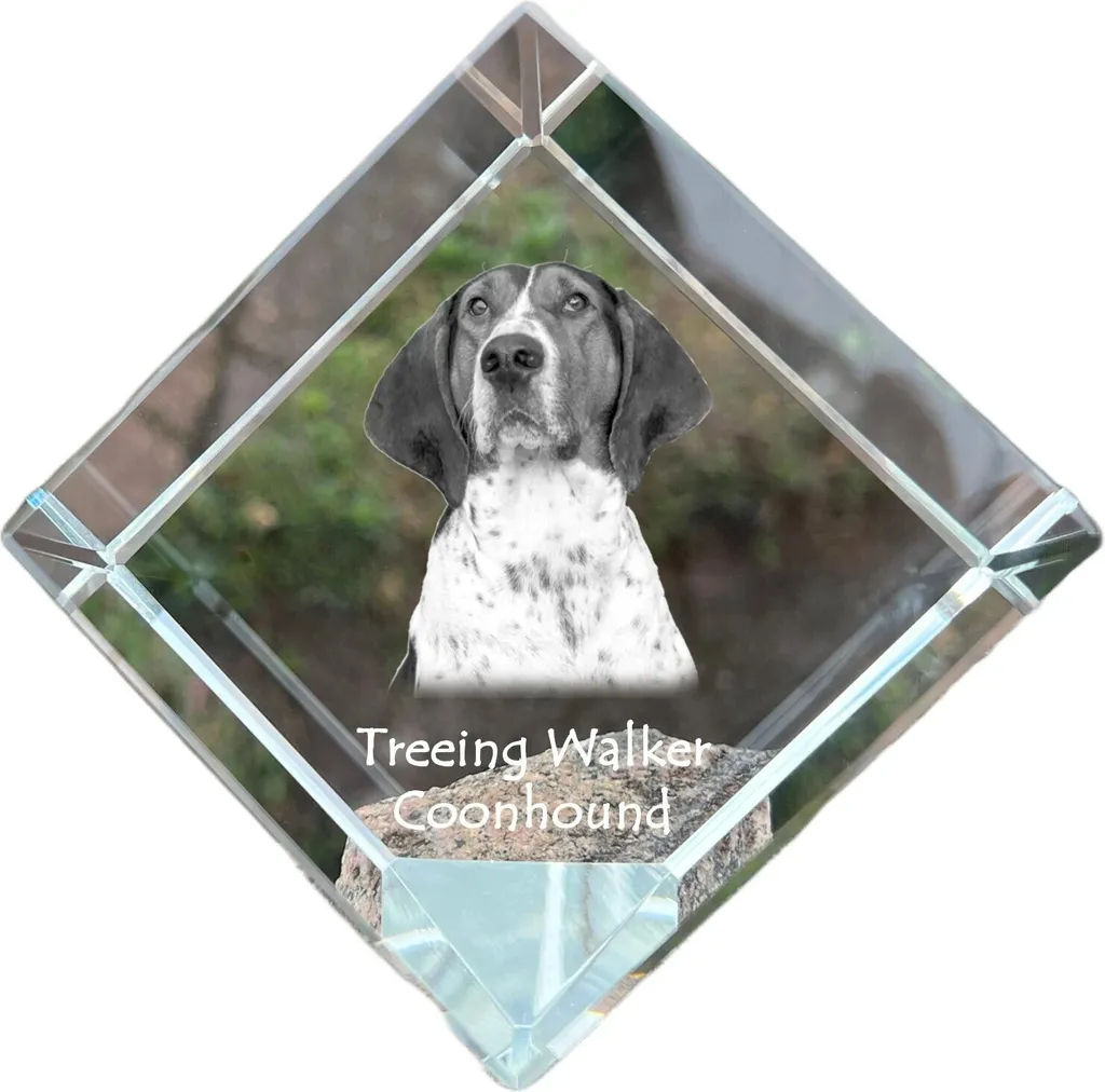 Cadeau Chien Treeing Walker Coonhound en Cristal Art-Dog - Bloc Photo 3D