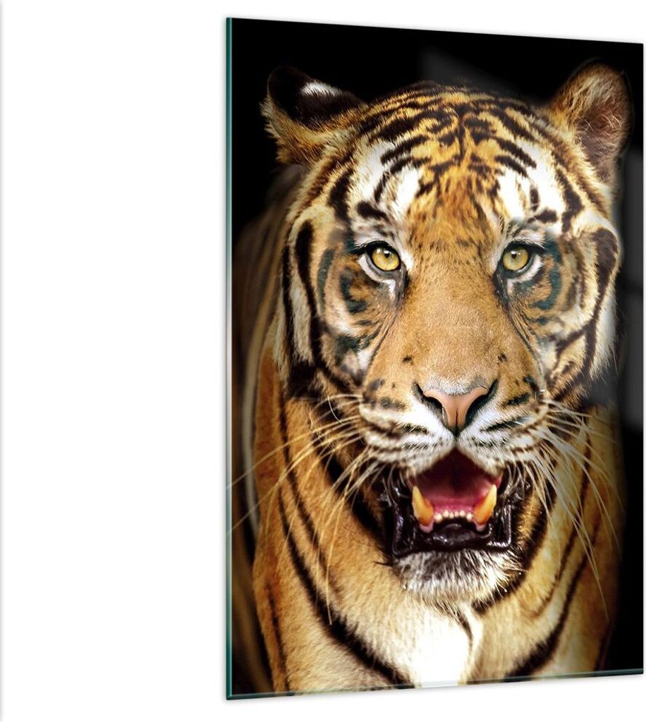 Bilder auf glas - Einteilig - tiger tier - 80x120cm - Glasbilder - Wandbilder - Bilder - Kunstdruck - zum Aufhängen bereit - Wanddekoration aus Gl...