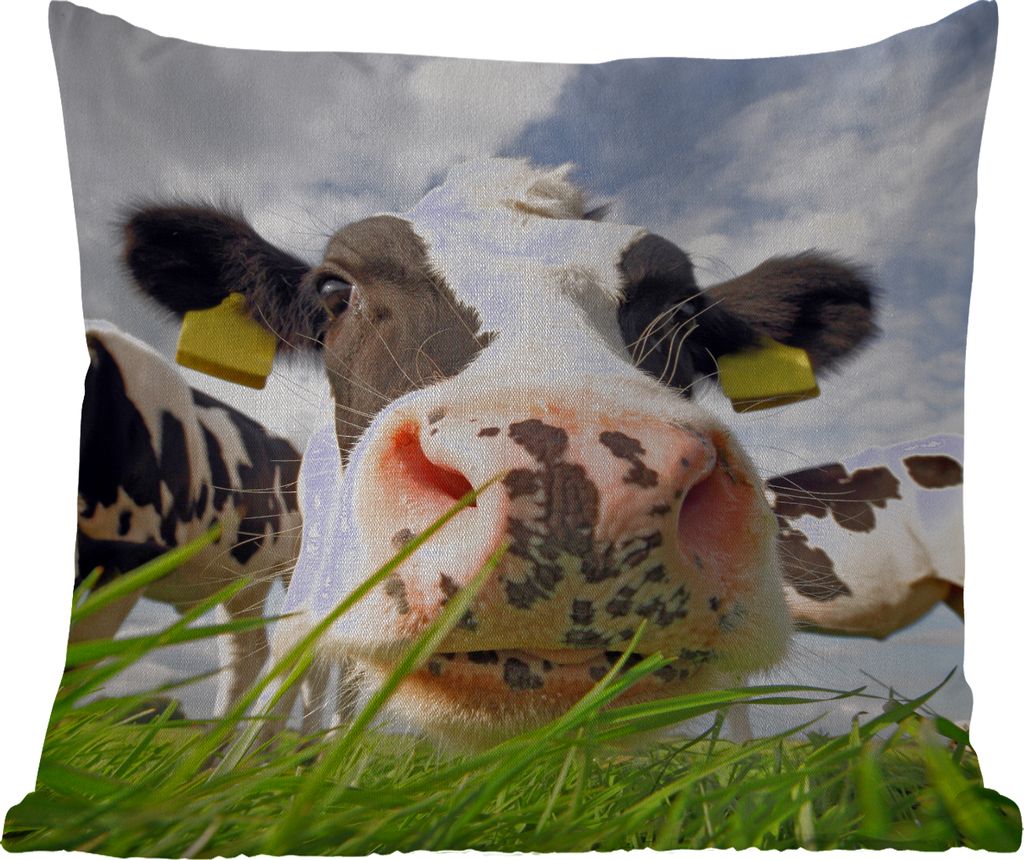 MuchoWow Outdoor Kissen - Kuh - Bauernhof - Gras - Tiere - 45x45 cm - Wetterfest - Lounge Kissen - Fotokissen - Dekoratives Kissen