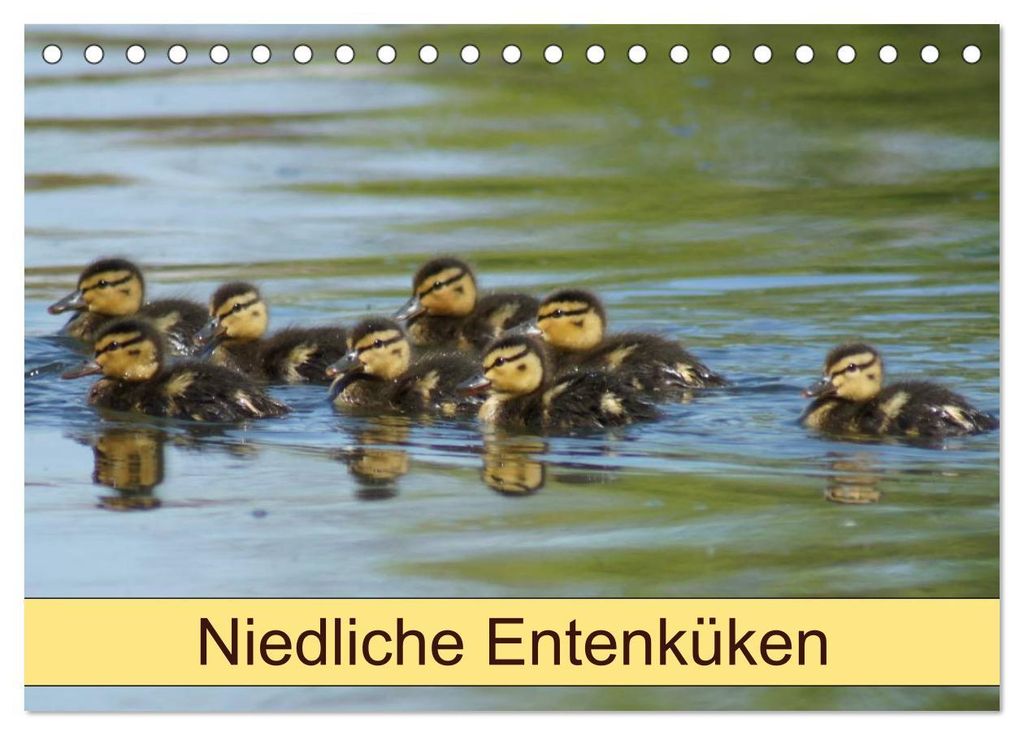 Niedliche Entenküken (Tischkalender 2027 DIN A5 quer), CALVENDO Monatskalender