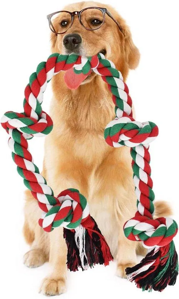 Corde de traction chien XXL 92 cm idéal pour les jeux de force