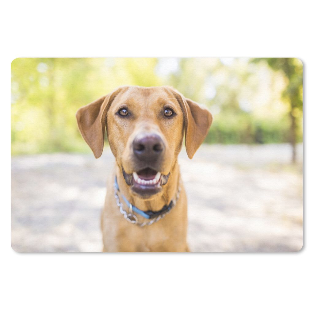 MuchoWow Mauspad Mousepad Labrador Retriever draußen 27x18 cm - Mousepads - Maus Mat - Pad - Mausunterlage - Büroartikel - Desk Matten