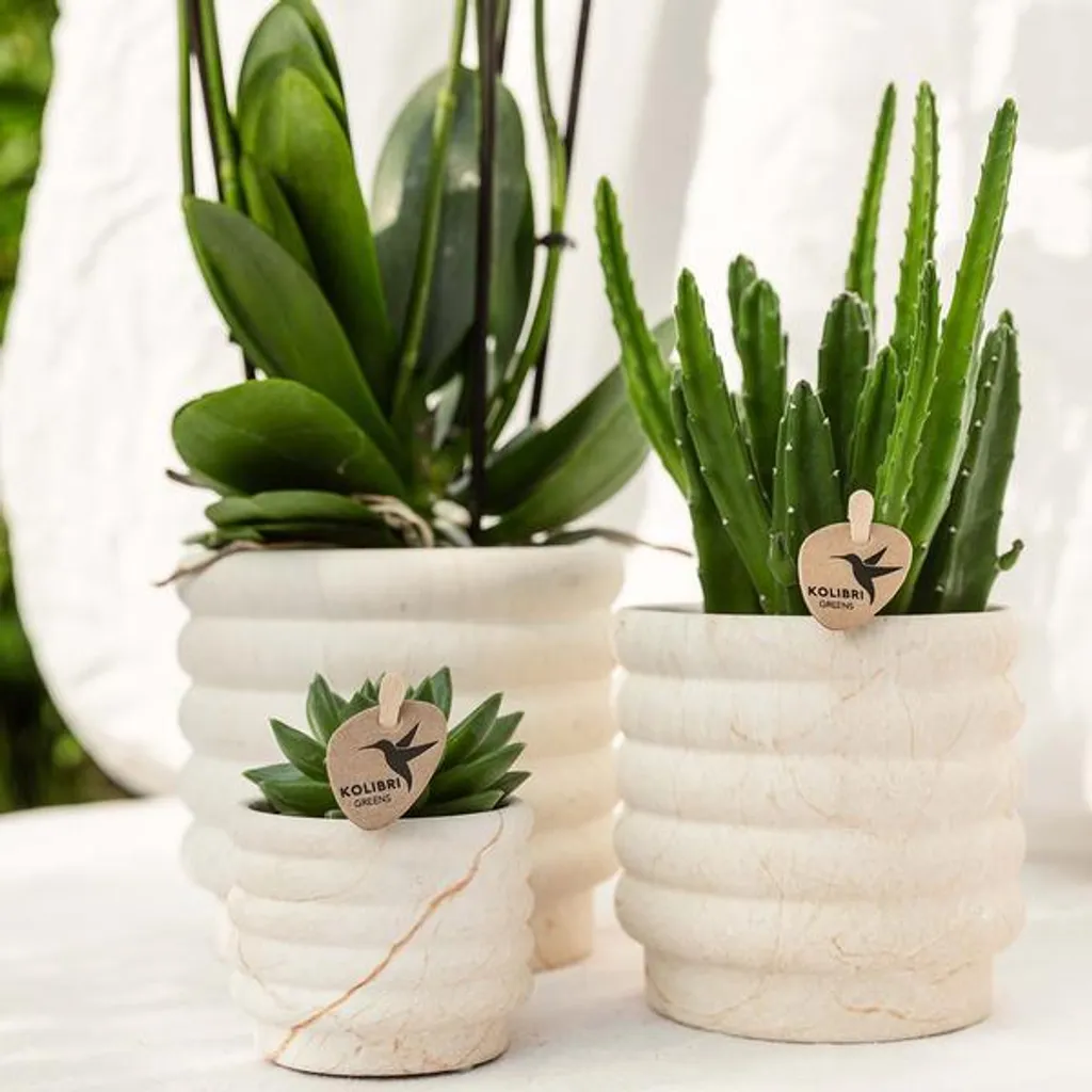 Petit pot de fleurs en céramique design marbre clair pour orchidées - 6