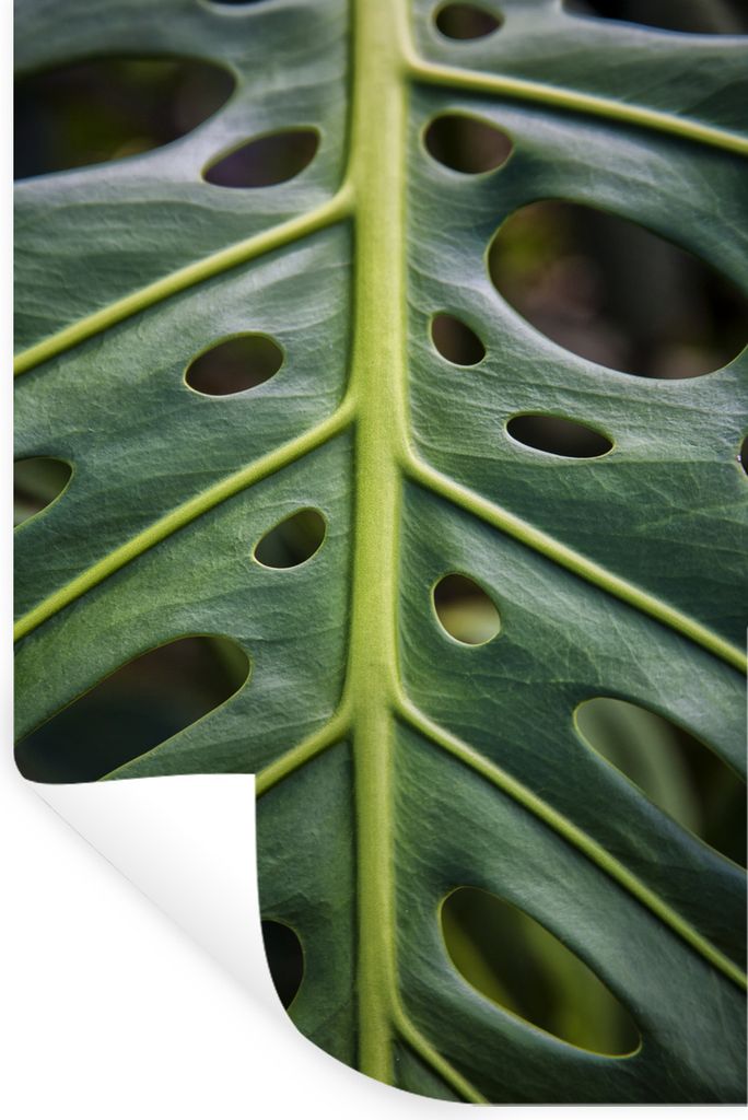 MuchoWow - Sticker - Dekorfolie