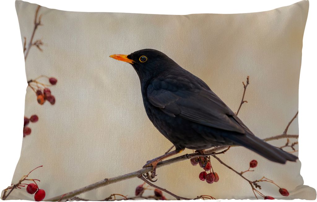 MuchoWow Outdoor Kissen - Amsel - Vogel - Zweige - Beere - Rot - 60x40 cm - Wetterfest - Lounge Kissen - Zierkissen - Kissen für Innenräume