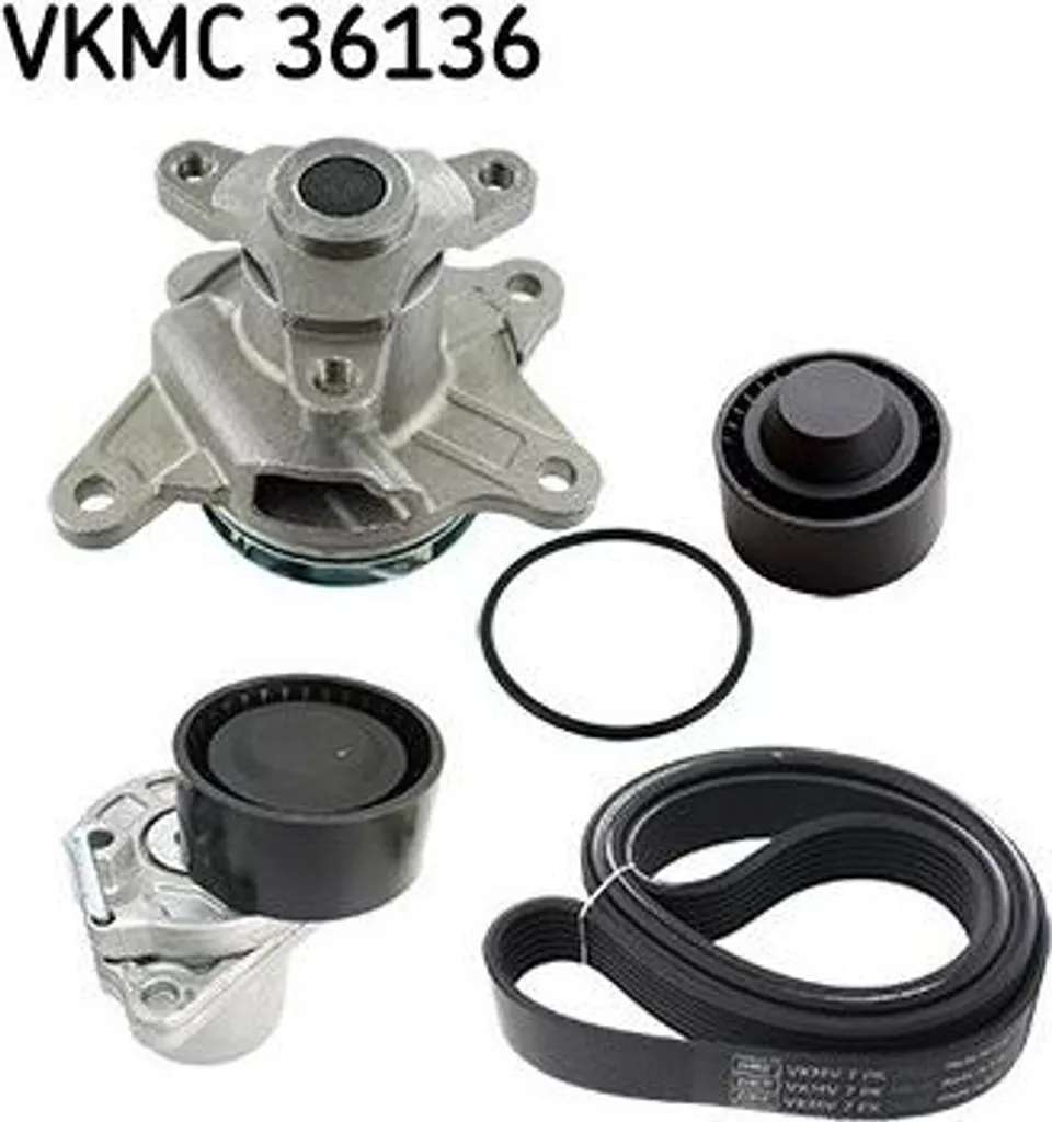 Kit Courroie Striée V contre Sifflements Moteur Renault 1.6dCi Fiat