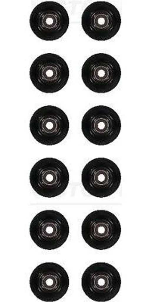 Set 12 Paraoli Valvola Victor Reinz 12-17481-01 per Ford | Stock OE