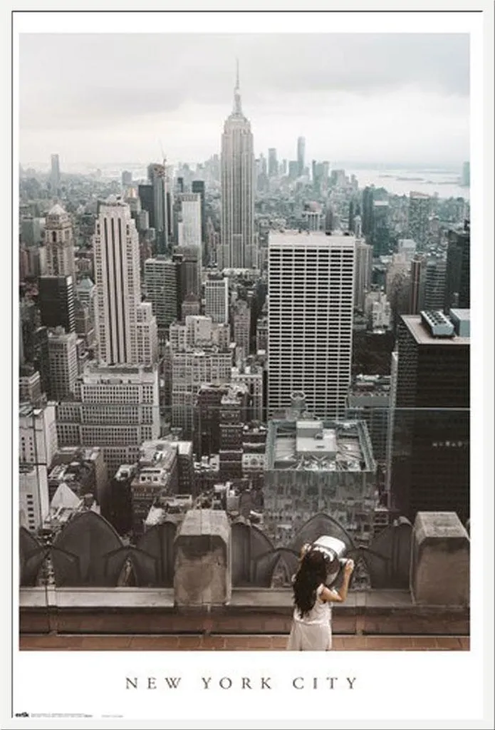 Affiche New York Vues de la Ville Shinsuke Maxi Cadre Blanc 61x91,5 cm
