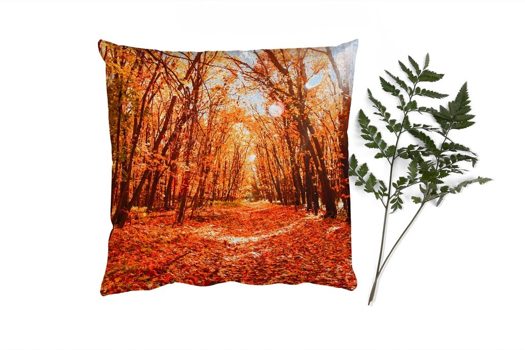 MuchoWow Zierkissen Sofakissen Wohnzimmer Dekokissen 50x50 cm Herbst - Wald - Laub - Jahreszeiten - Komfort - Sofakissen