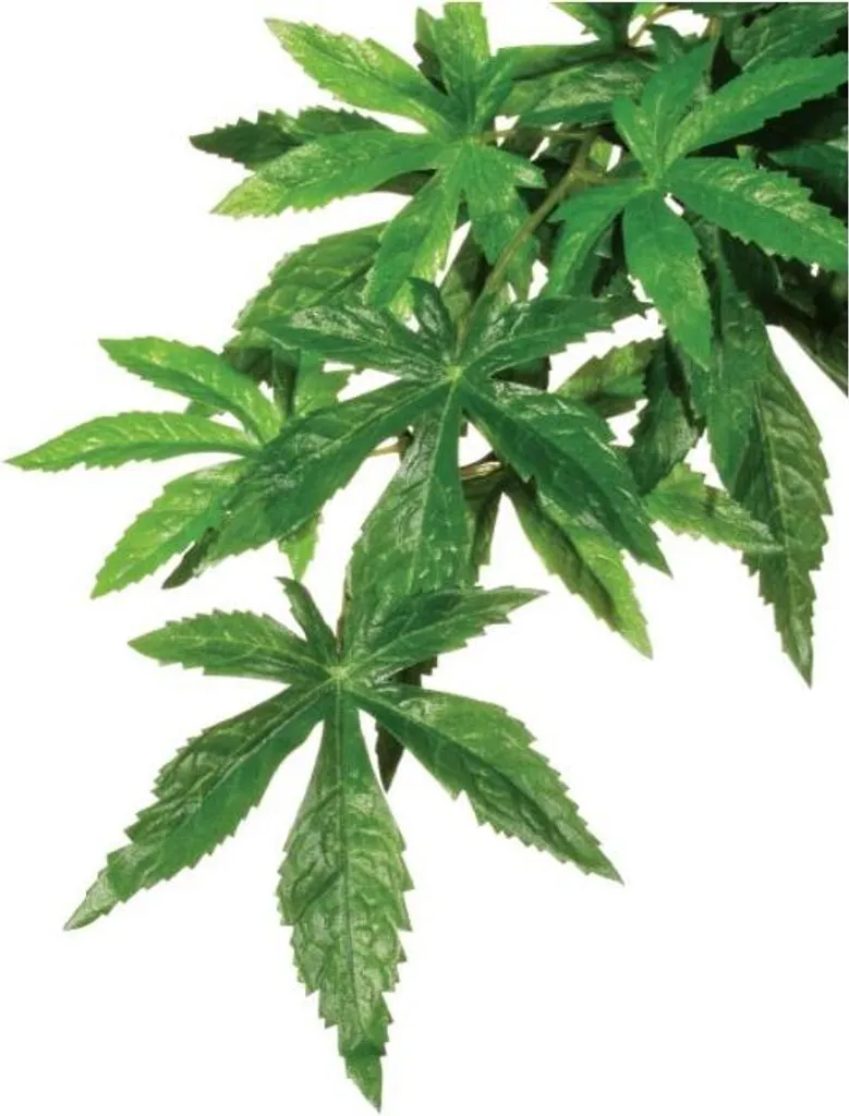 Exo Terra Abutilon M | Pianta per Rettili con Ventosa | Offerta Online