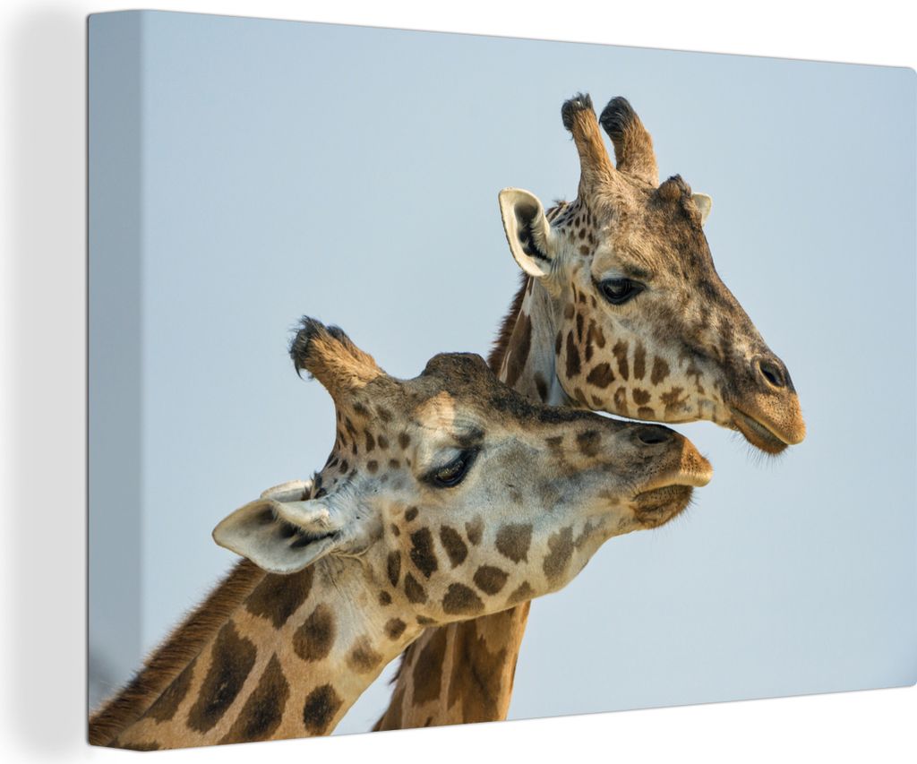 OneMillionCanvasses - Leinwandbilder - 150x100 cm, Giraffen - Tiere - Himmel, Wandbilder Kunstdruck Wanddekoration