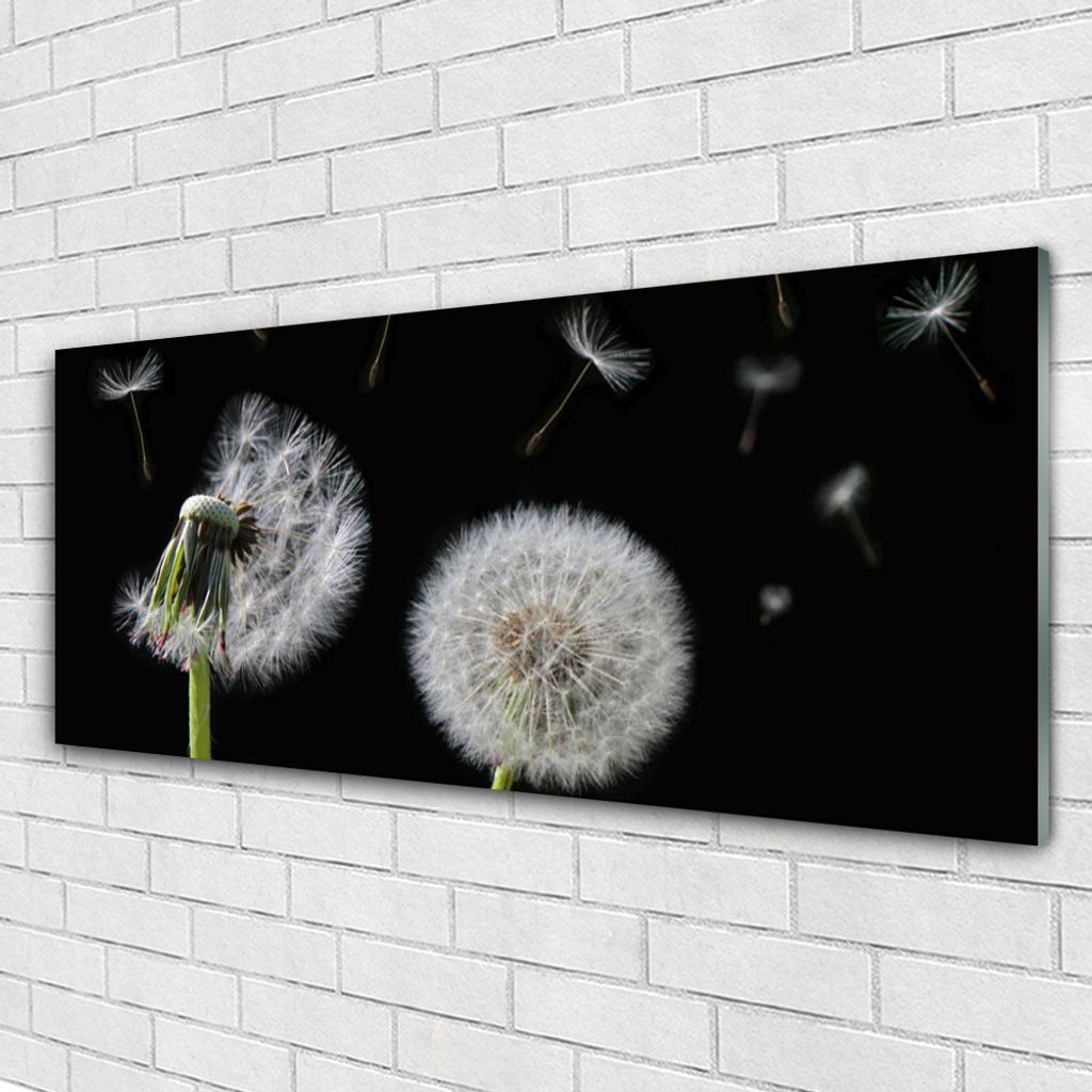Glasbilder 125x50 Wandbild Druck auf Glas Pusteblume Pflanzen