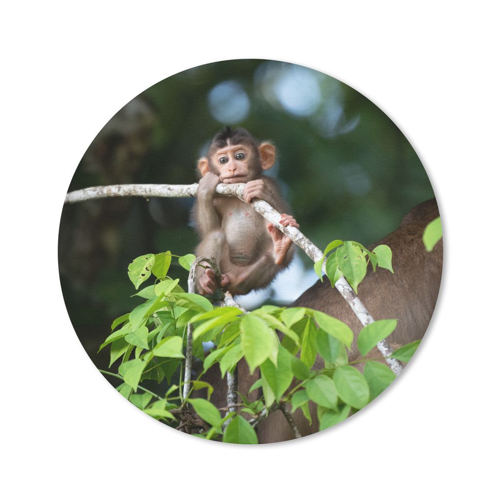 MuchoWow Mauspad Mousepad Baby - Affe - Äste 30x30 cm - Mousepads - Maus Mat - Pad - Mausunterlage - Tischunterlage - Schreibtischmatten