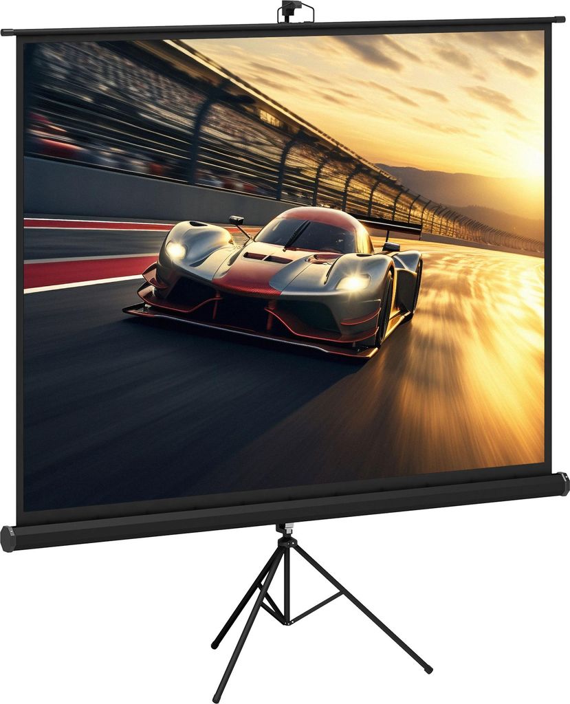 HOMCOM 100-Zoll 4K HD 4:3 Projektionsleinwand mit faltbarem Stativ, höhenverstellbare Videoprojektionsleinwand, ideal für Heimkino, Filme drinnen...