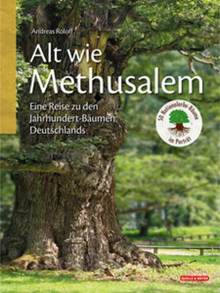 Livre arbres millénaires allemands couverture rigide 280p