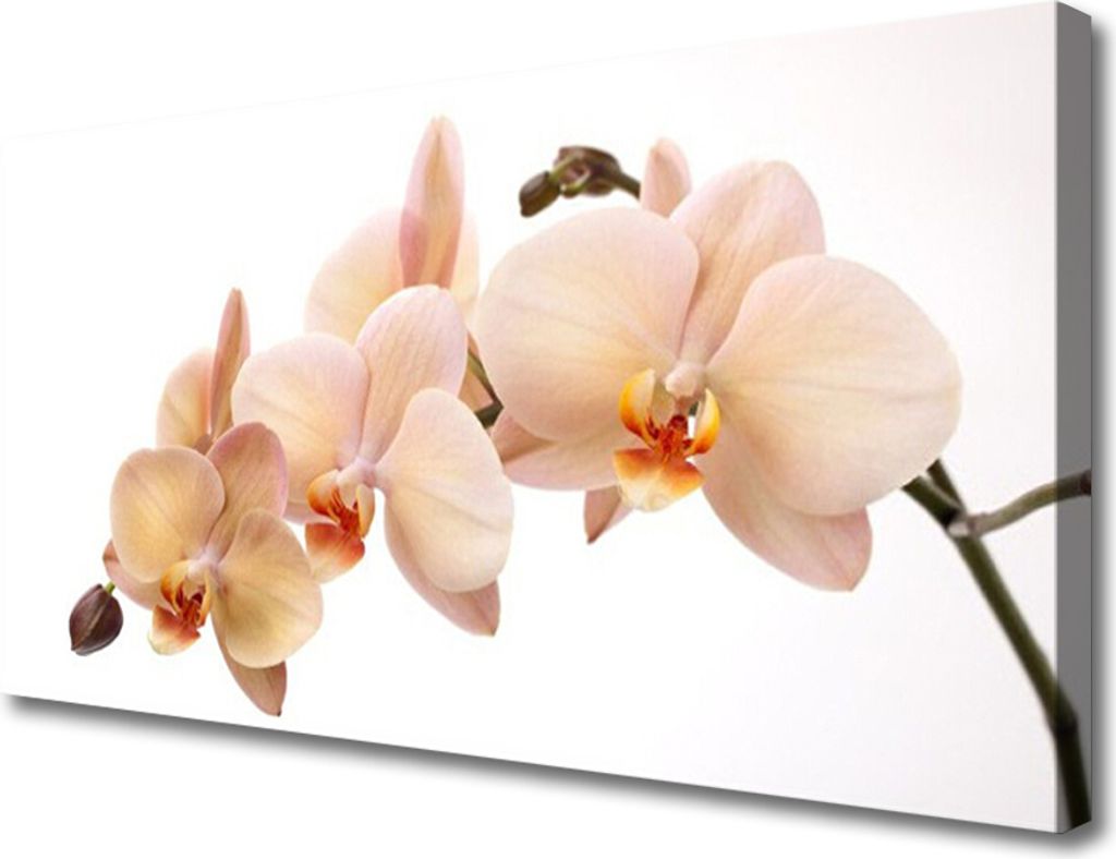Tulup Leinwand-Bilder 100x50 Wandbild Canvas Kunstdruck Blumen Pflanzen