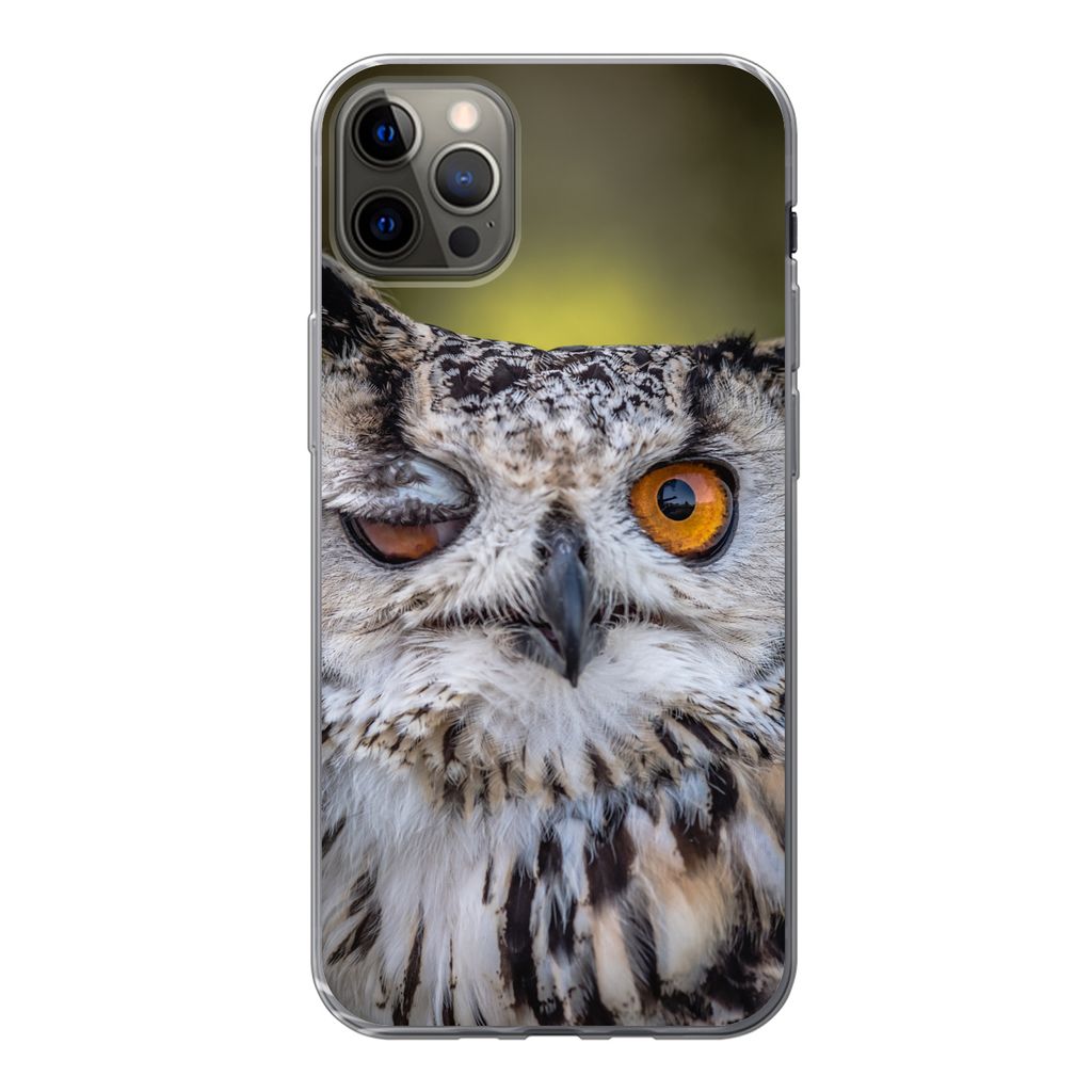 MuchoWow Handyhülle Schutzhülle Hülle für iPhone 13 Pro Max Eule - Auge - Orange Silikon Softcase Handy Hülle - Mobiltelefon