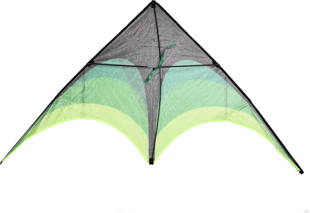 Cerf-volant facile à piloter 1,6m avec queue rotative et structure pro