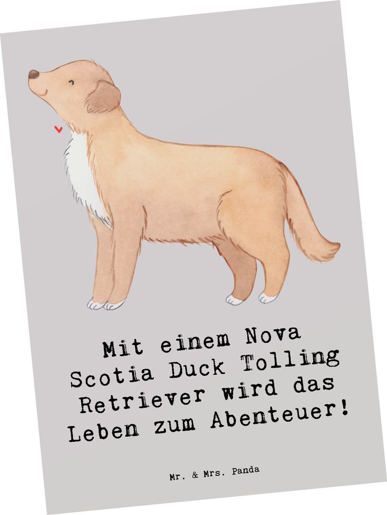 Mr. & Mrs. Panda Ansichtskarte Nova Scotia Duck Abenteuer - Grau Pastell - Geschenk, Grußkarte, Intelligenz, Tolling Retriever, Hunde, Kunstkarten...