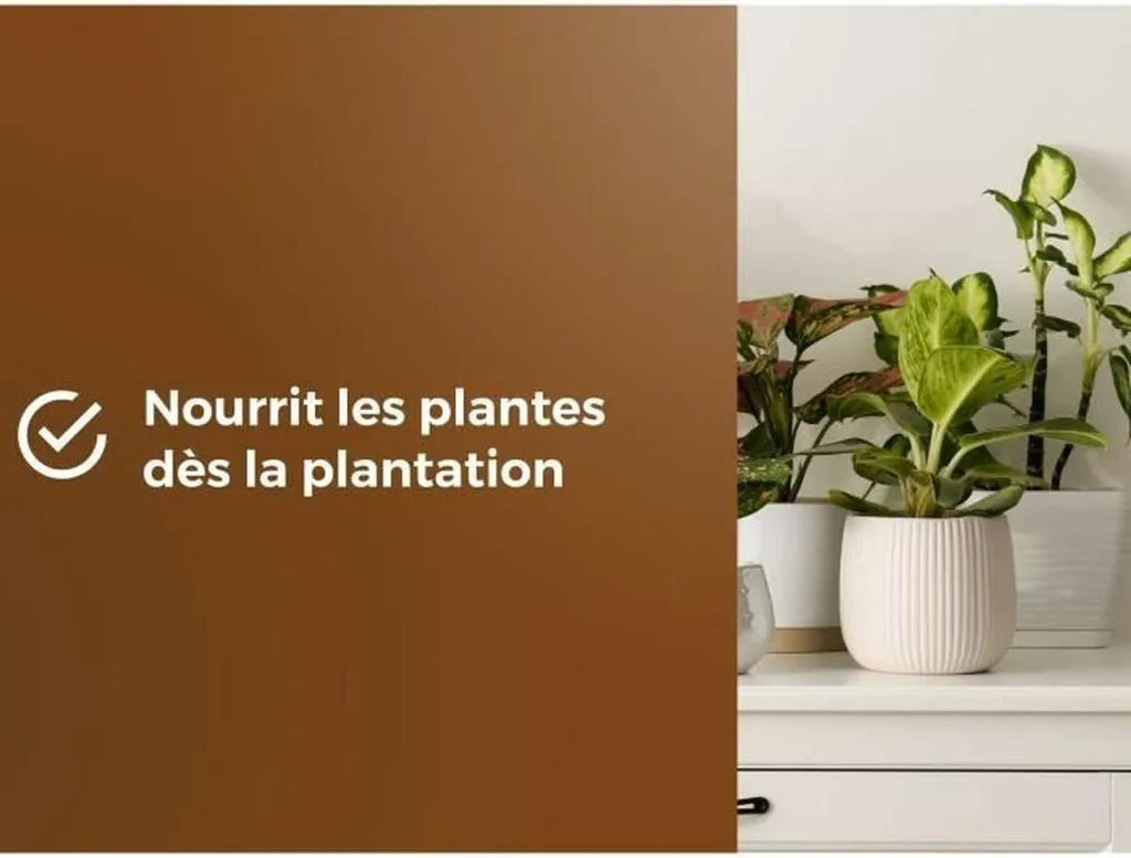 Terreau d'empotage Or Brun 6 L : Formule aérée avec rétention d'eau optimisée - 4