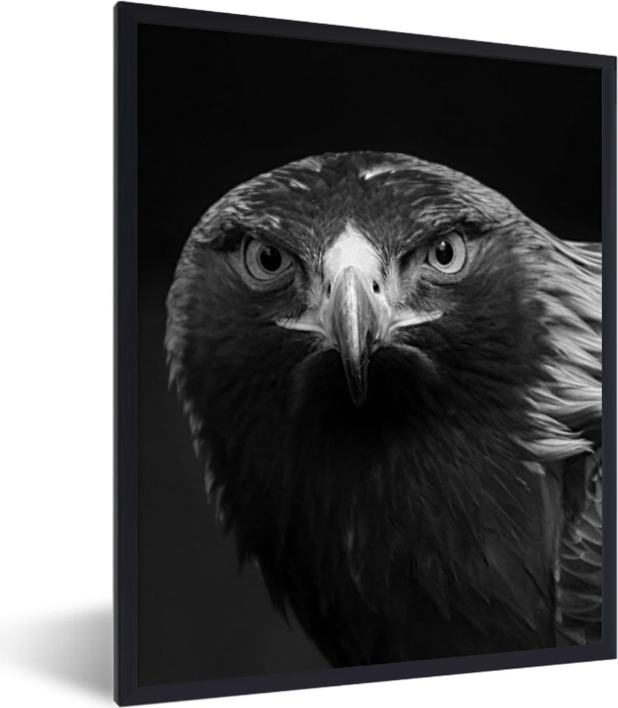 MuchoWow Gerahmtes Poster Bussard - Vogel - Tiere - Schwarz - Weiß 30x40 cm - Poster mit Schwarzem Bilderrahmen Wandposter Rahmen Foto Bilder - ...