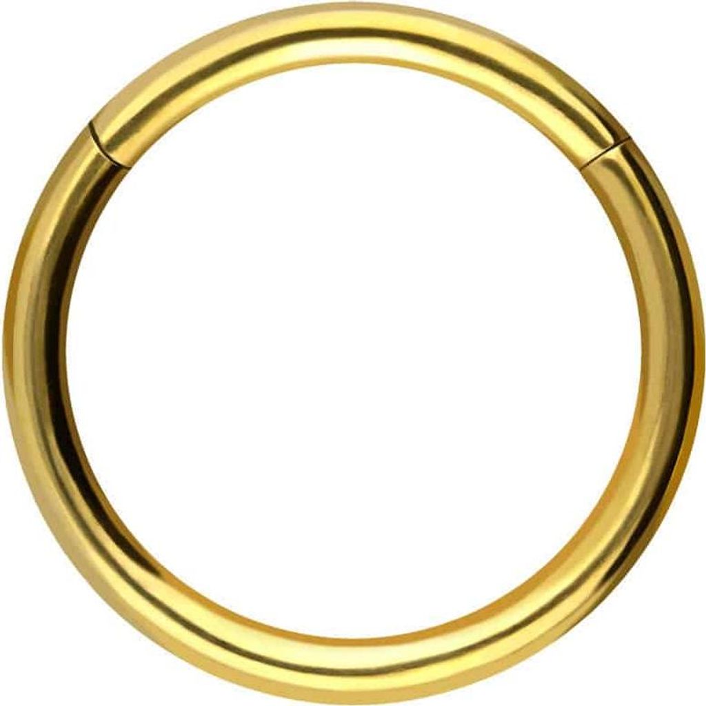 Ohrpiercing, Nasenpiercing, Septum Piercing Titan Segmentring Clicker Gold Innendurchmesser: 14mm + Stabstärke: 1,6mm