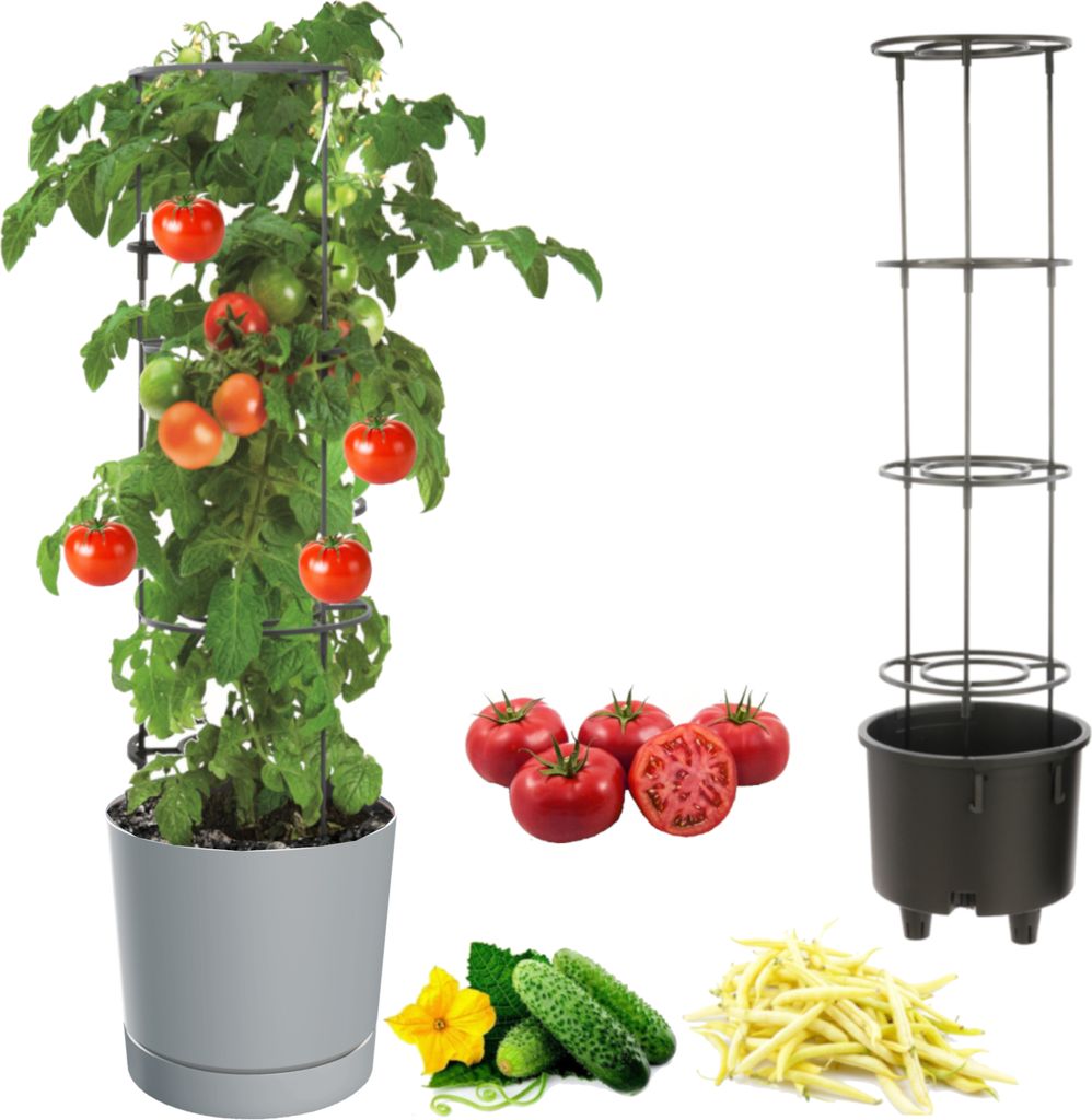 Tomatentopf, Tomatenpflanze Pflanzkübel, Topf zur Anzucht von Kletterpflanzen, Gemüsetopf, Übertopf, Gurken, Bohnen, Ø30 cm steingrau,Kunststof...