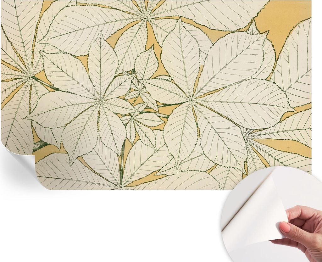 Selbstklebende Wandtapete - Dekorative Tapete für Wohnzimmer - Klebefolie für Wandbilder - Tapetenfolie für Wanddekoration - 416x254 - Kastanien...
