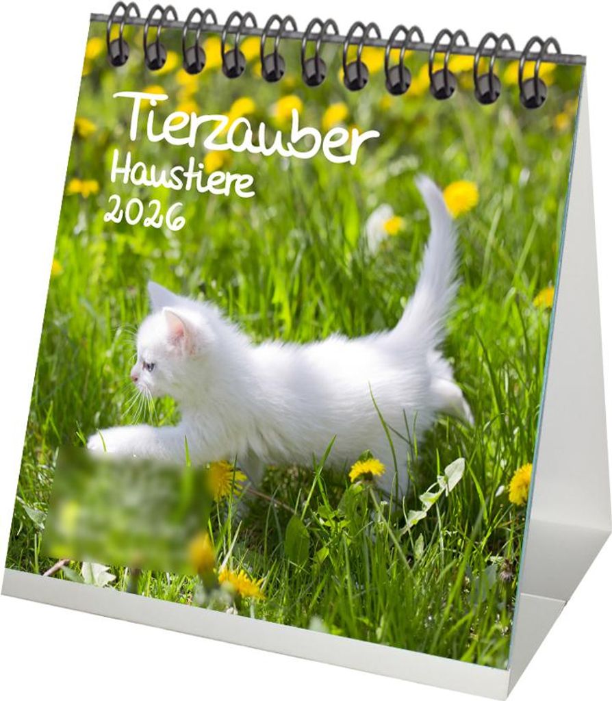 Tierzauber Haustiere Tischkalender 10cm x 10cm für 2026- Geschenkset Inhalt: 1x Kalender 1x Weihnachtsanhänger 1x Grußanhänger (gesamt 3 Teile)
