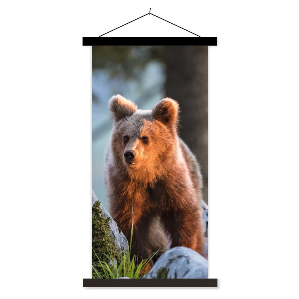 MuchoWow Textilposter Bär - Braun - Tier 40x80 cm mit schwarzem Rahmen - Wandemalerei