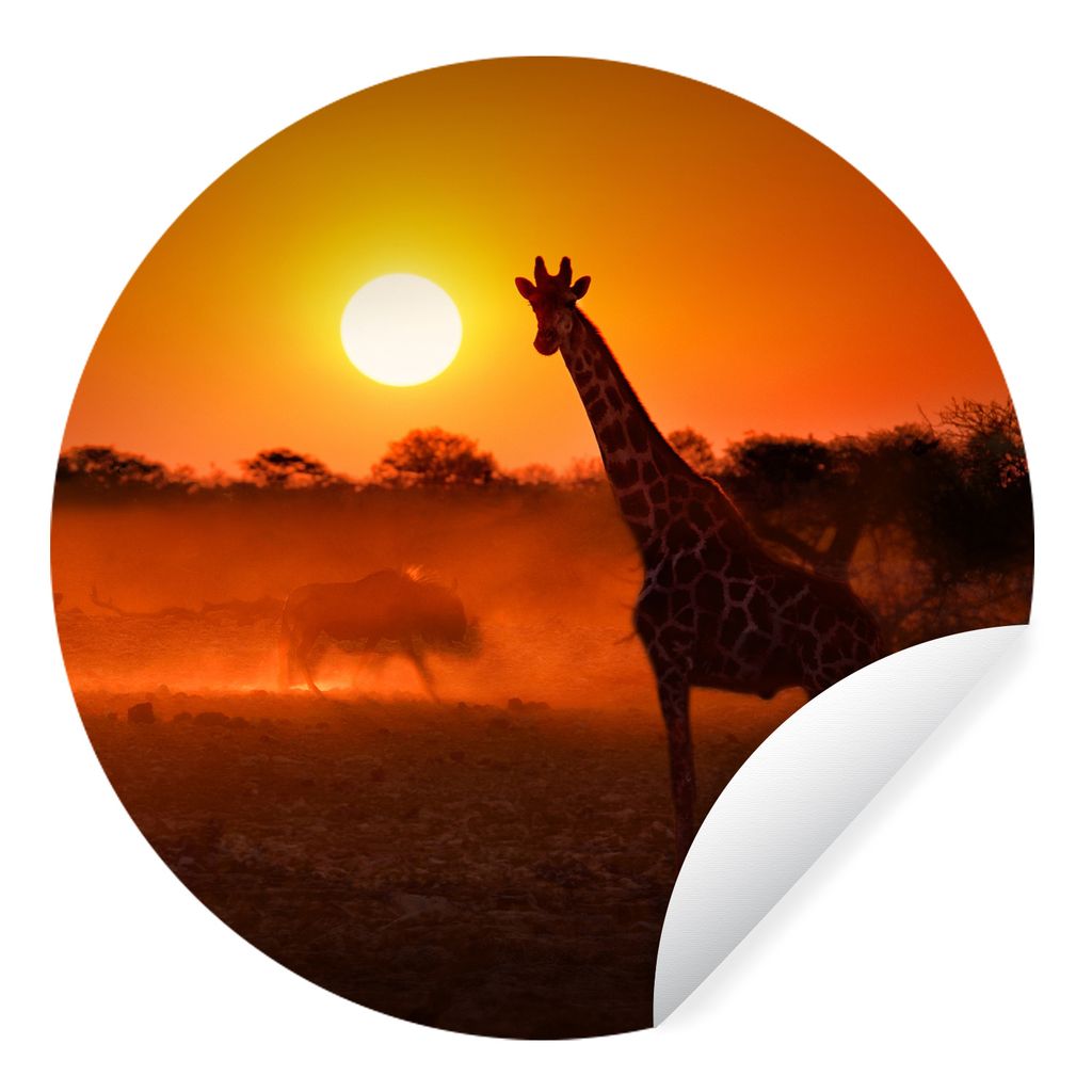 MuchoWow Runde Wandtattoo - Wandsticker Tapete Aufkleber Giraffe - Sonne - Savanne Ø 50 cm Selbstklebend und Repositionierbar - Wandaufkleber - ...