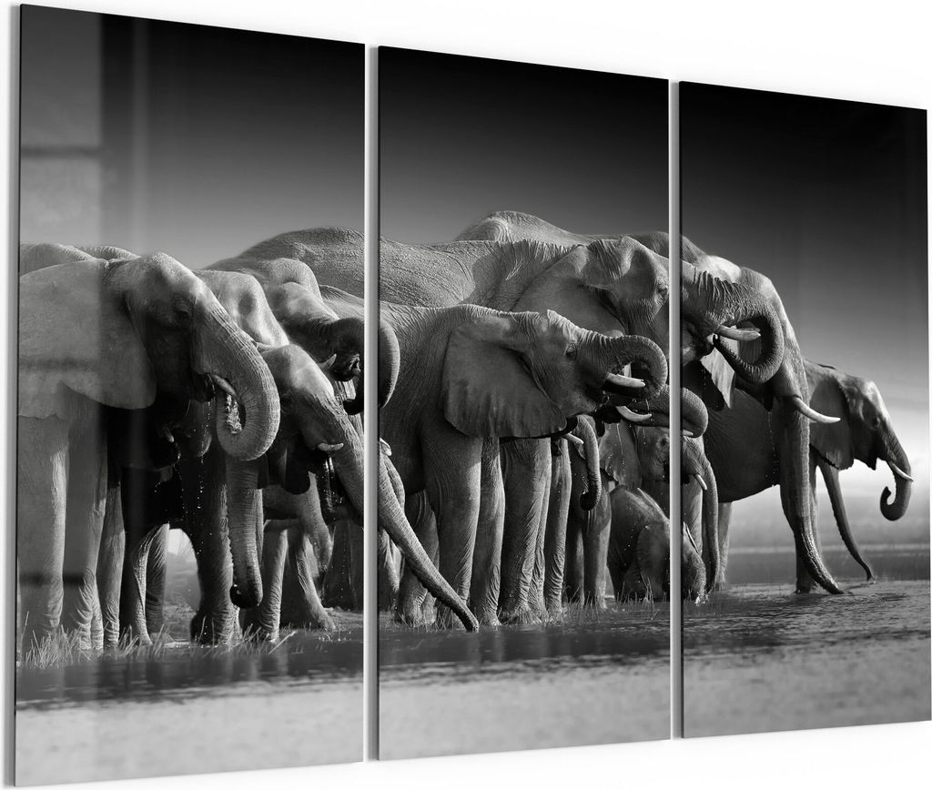 DEQORI Glasbilder Acryl 3x50x100 cm 'Elefantenherde am Wasser' Wandbilder XXL groß