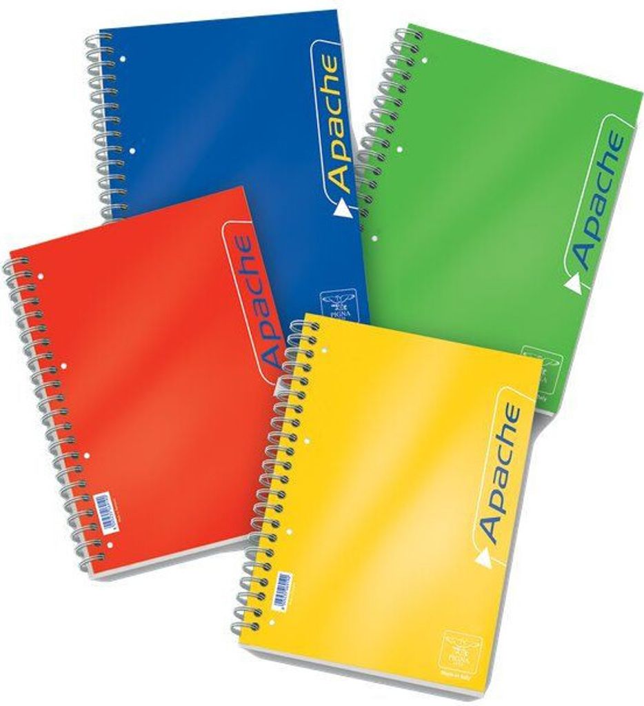 Pigna 02138064M Notizbuch A4 140 Blätter Mehrfarbig
