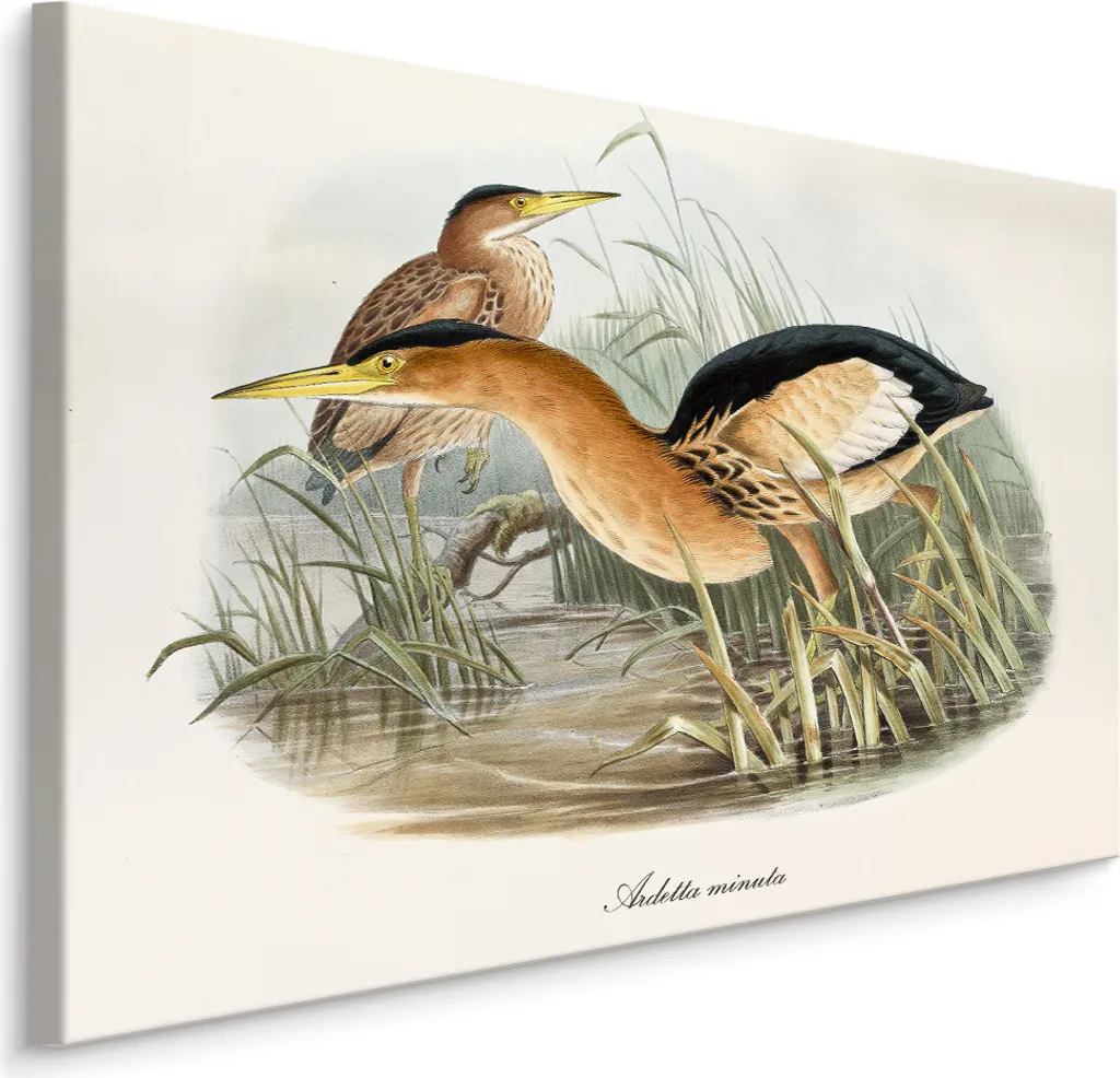 Quadro Gru nello Stagno 100x70 XXL | Tela Alta Qualità Prezzo Top