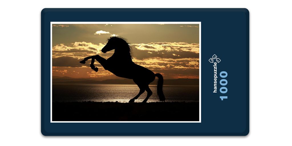 hansepuzzle 16715 - Mustang Puzzle, 1000 Teile, Tierwelt, 60,0 x 46,0cm mit hochwertiger Aufbewahrung, Kartonbox und wiederverschließbarem Beutel