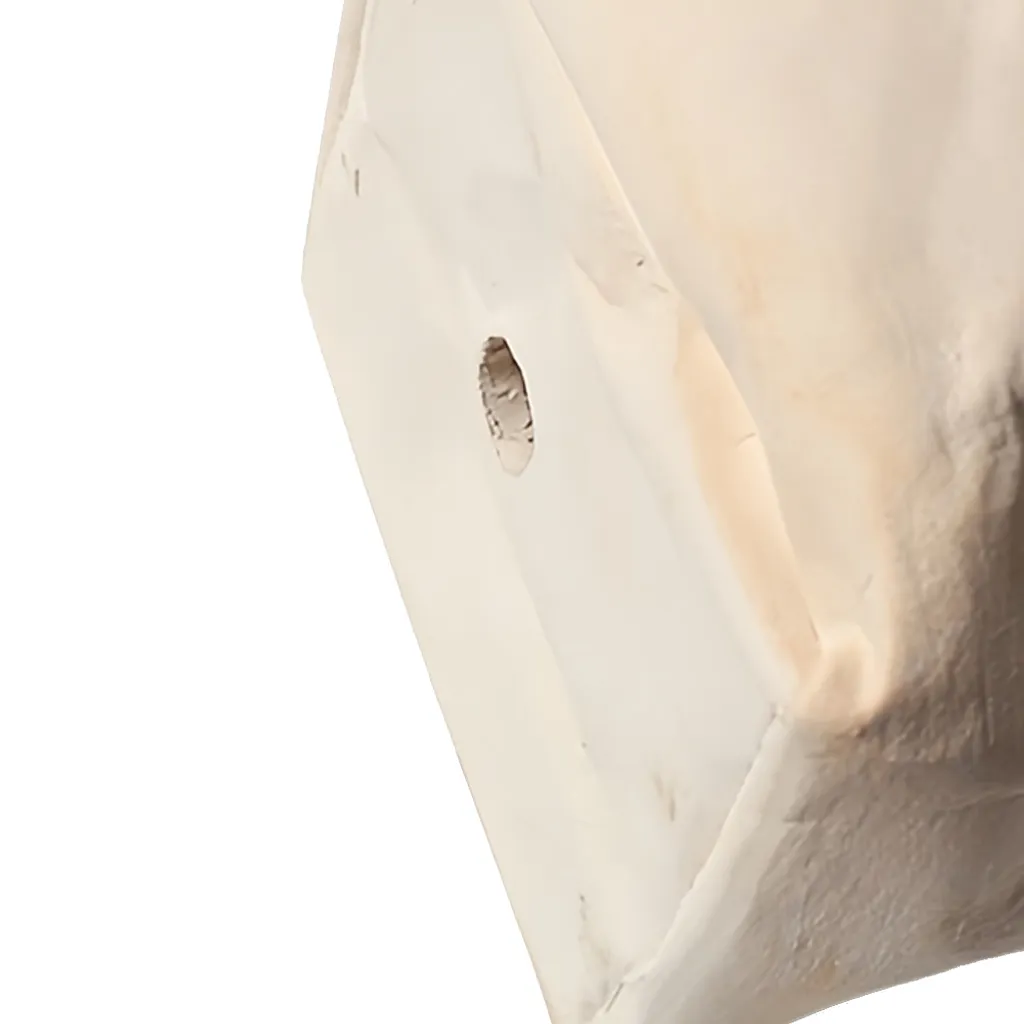 Cache-pot design en céramique blanche forme sac en papier 16 cm - 4