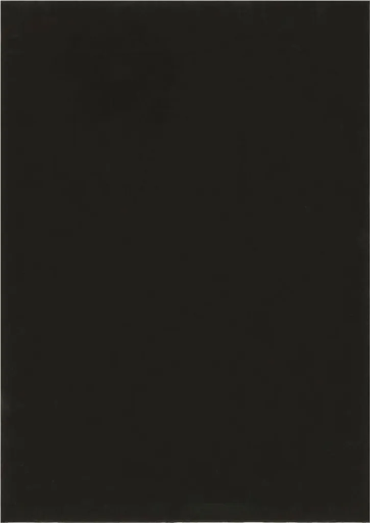 Tapis Noir 80x150 cm pour Chambre et Salon - Style COLOR UNI Élégant
