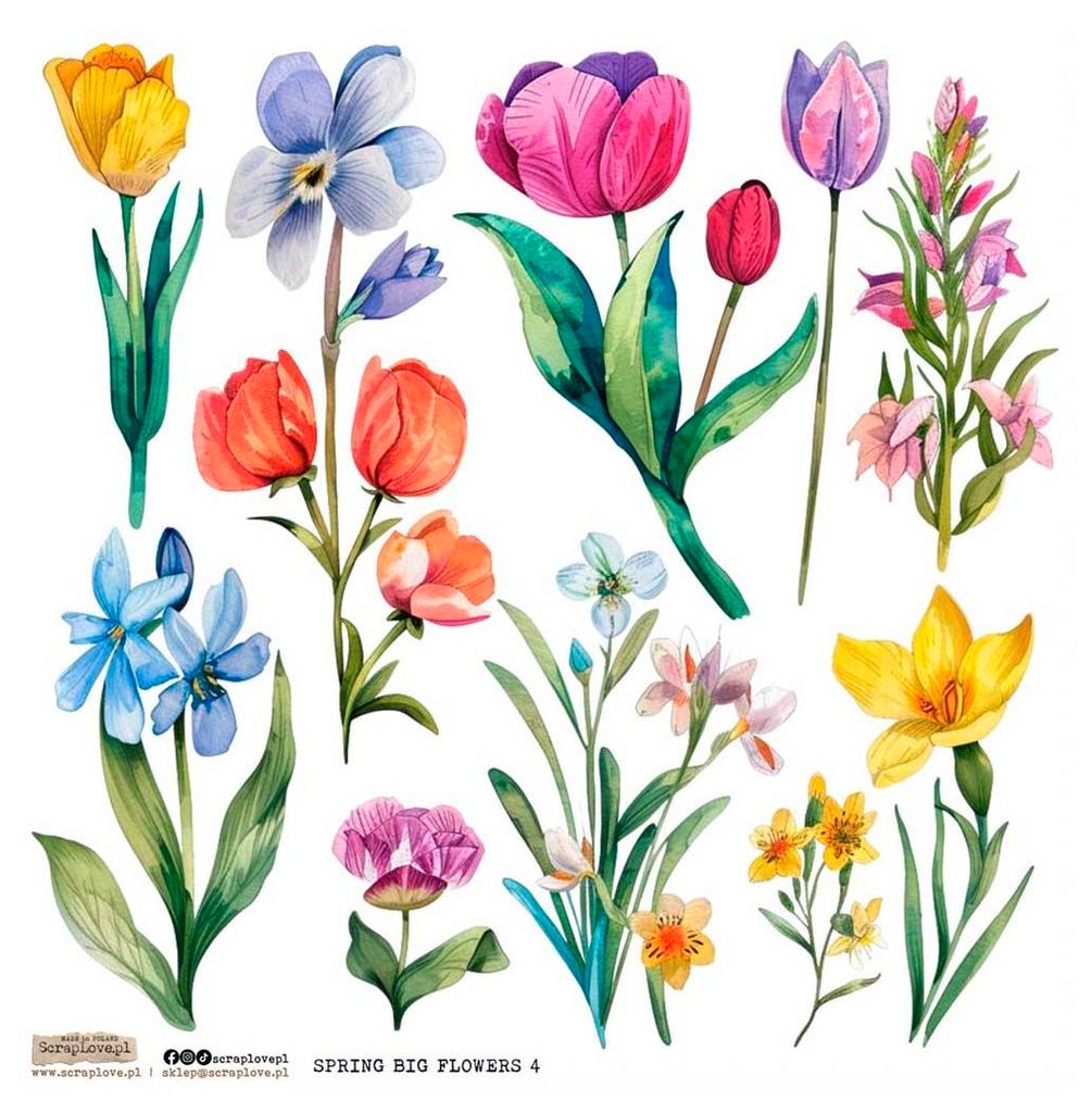 AUFKLEBER ScrapLove Dekor Stickers - Spring Big Flowers 4 Produktbild 