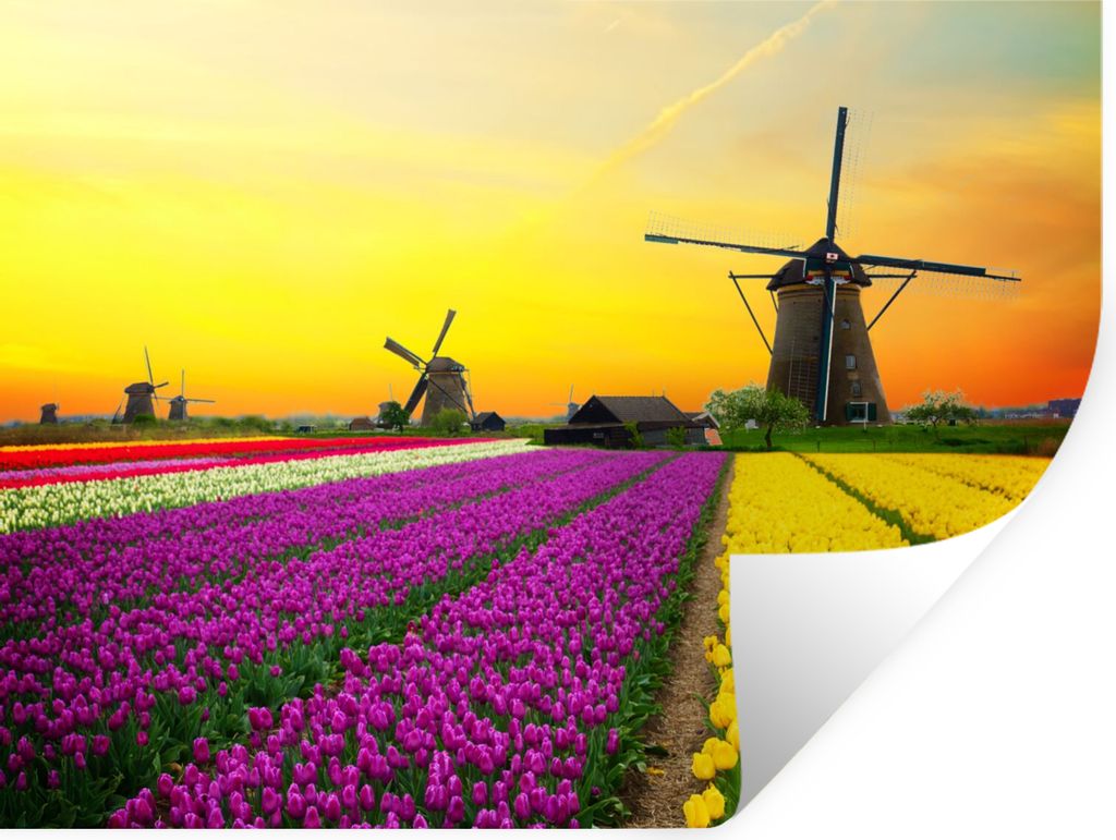 MuchoWow Wandtattoo Wandsticker Wandaufkleber Windmühle - Tulpen - Blumen - Frühling 160x120 cm Selbstklebend und Repositionierbar - Selbstkleb...