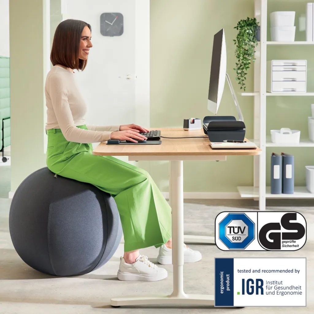 Balle de Bureau Antidérapante Leitz Active Velours Gris Ø 75 cm
