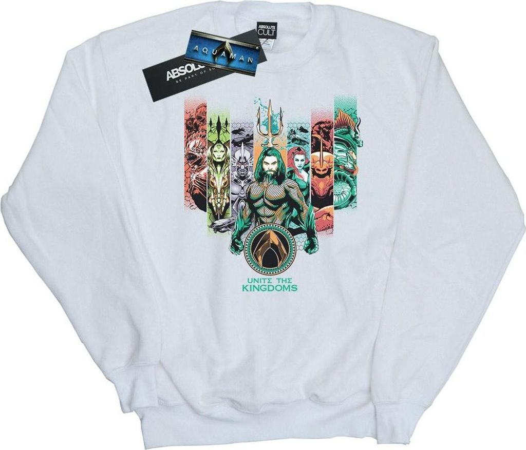 DC Comics - "Unite The Kingdoms" Sweatshirt für Damen BI6794 (XL) (Weiß)