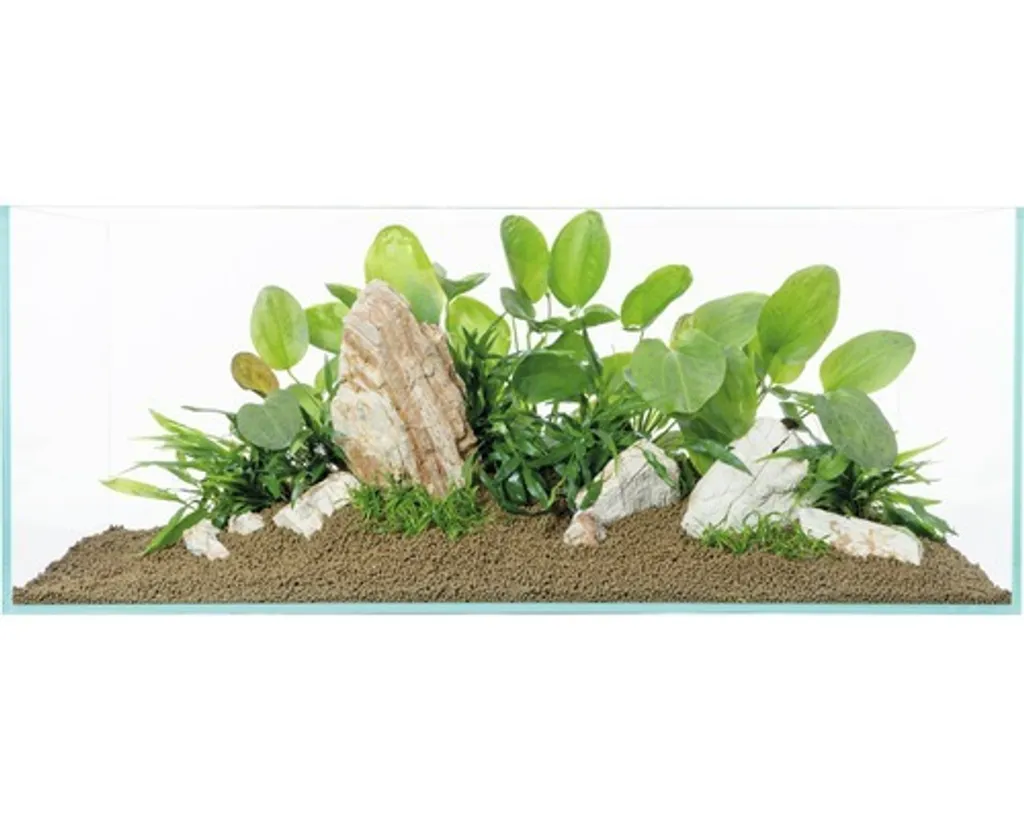 Pagodes claires pour aquarium 80 cm : solution déco pour bacs encombrés - 2