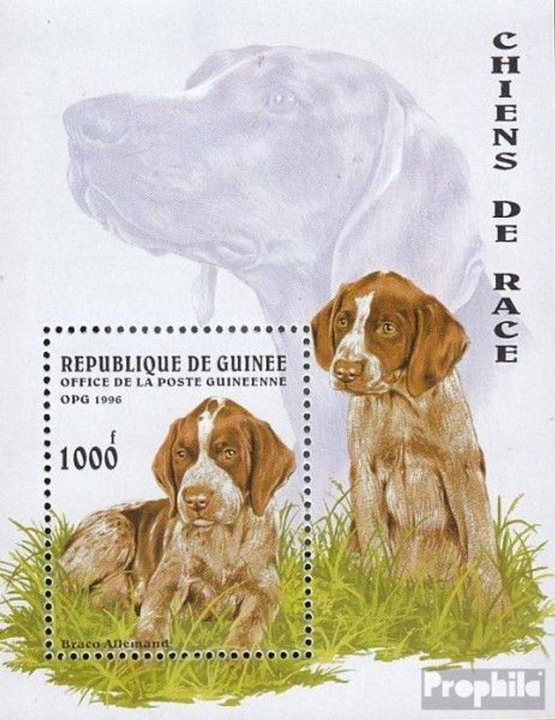 Briefmarken Guinea 1996 Mi Block503 (kompl.Ausg.) postfrisch Hunde
