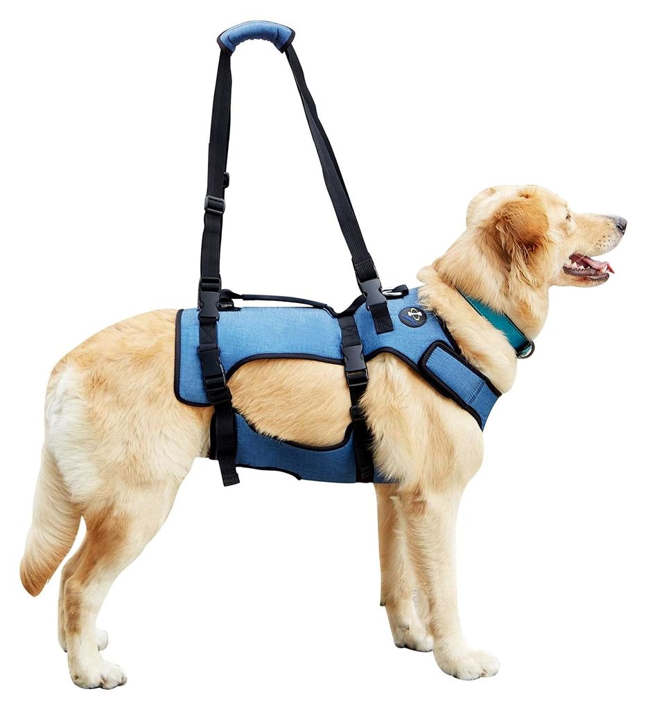 Mobilitätshilfe für Hunde - Atmungsaktives Reha-Geschirr für ältere Hunde mit Gelenkproblemen, Arthritis oder Lähmung, Vollkörperstütze mit ...