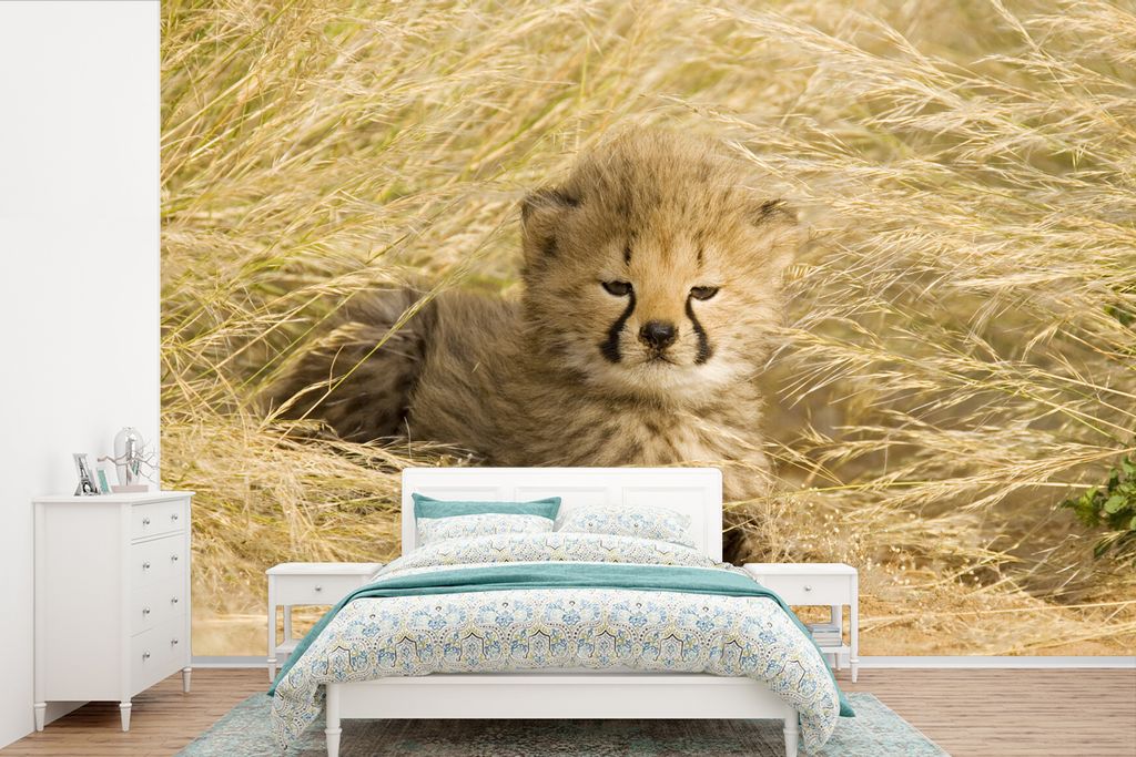 MuchoWow Fototapete für Wohnzimmer oder Schlafzimmer Wandtapete Vinyl Motivtapete Gepard - Jung - Gras - 420x280 cm - Zimmer für Kinder