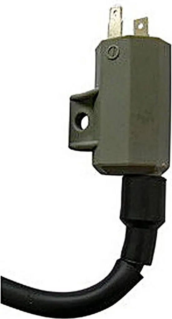 Bobina SGR 2 Faston 0.6 Ohm | Massima Efficienza Accensione CDI