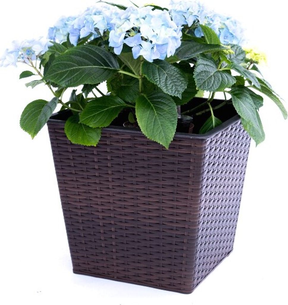Elegant Einrichten | Pflanzkübel | quadratisch konisch | Polyrattan | 34x34x31cm | coffeebraun.